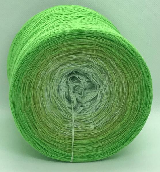 Superschnäppchen 43